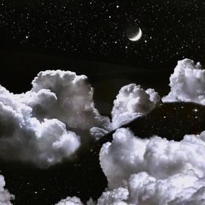 白虎美女 免费看
